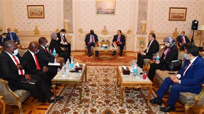 وكيل مجلس النواب يستقبل النائب الأول لرئيس برلمان مالاوي.. (صور)