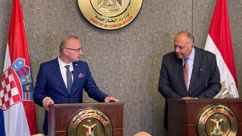 سامح شكري وزير الخارجية