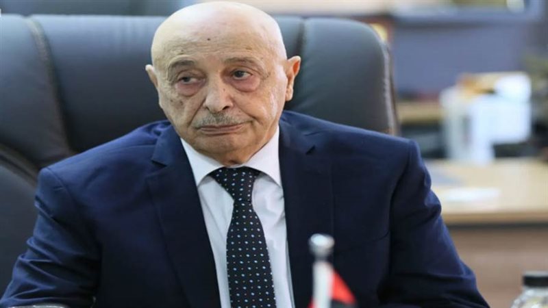 المستشار عقيلة صالح