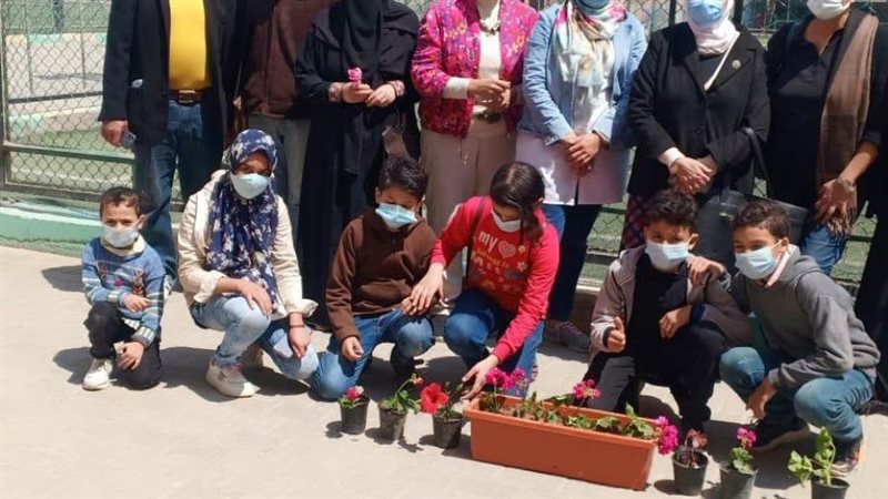 زراعة الأشجار فى