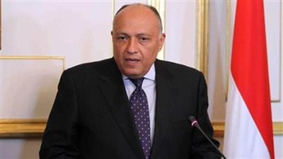 شكري: مصر تمتلك إمكانات يؤهلها لأن تلعب دورًا محوريًا في تنمية المنطقة