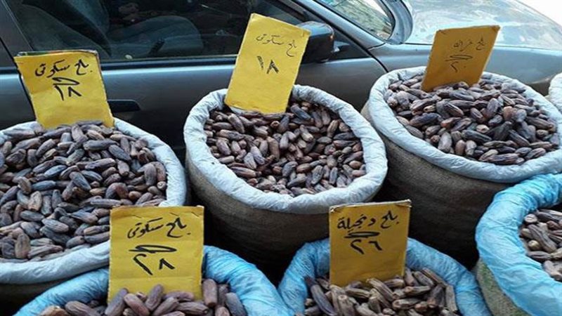 أسعار البلح