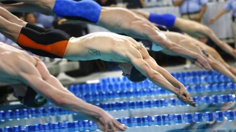 الاتحاد الدولي للسباحة