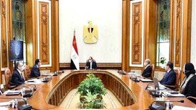 الرئيس السيسي يوجه بالاستمرار في جهود تحقيق توطين الصناعة