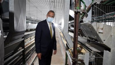 محافظ القليوبية يتفقد المشروعات الجاري تنفيذها بثلاث مدن