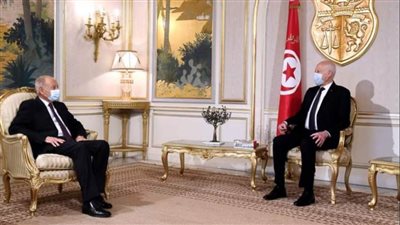 أبو الغيط يلتقي بالرئيس التونسي