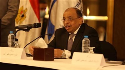 شعراوي: الصعيد في قلب وعقل الرئيس السيسي منذ توليه المسؤولية 