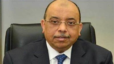 شعراوي: محافظات الصعيد تستحوذ على النصيب الأكبر في المرحلة الأولى لبرنامج تطوير الريف المصري