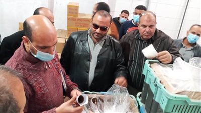 ضبط مصنعين بهما مخالفات صحية وبيئية بالدقهلية