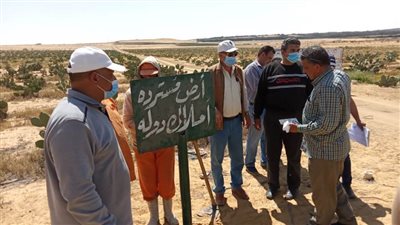 استرداد 16 قطعة أرض أملاك دولة من غير الجادين بالبحيرة