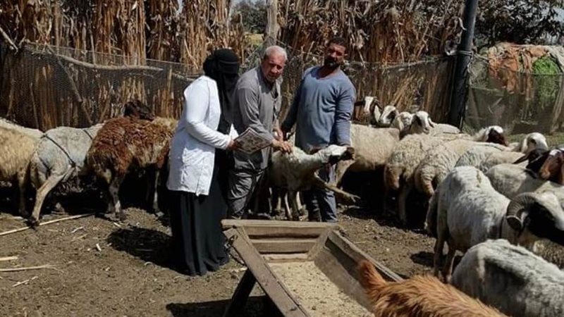 تحصين الماشية