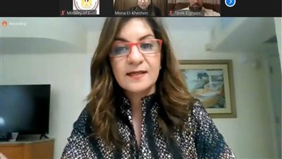 وزيرة الهجرة تلتقى 50 من أبرز رواد الأعمال المصريين في الخارج