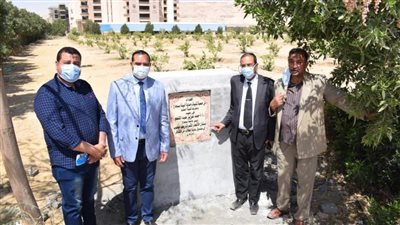 زراعة ١٢٠ شجرة نخيل مثمر بجامعة سوهاج