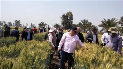 ورشة عمل عن القمح بمحطة بحوث الجميزة في الغربية 