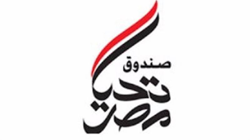 صندوق تحيا مصر