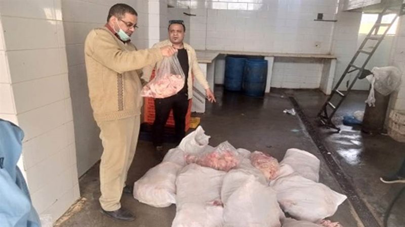 بوابة روز اليوسف