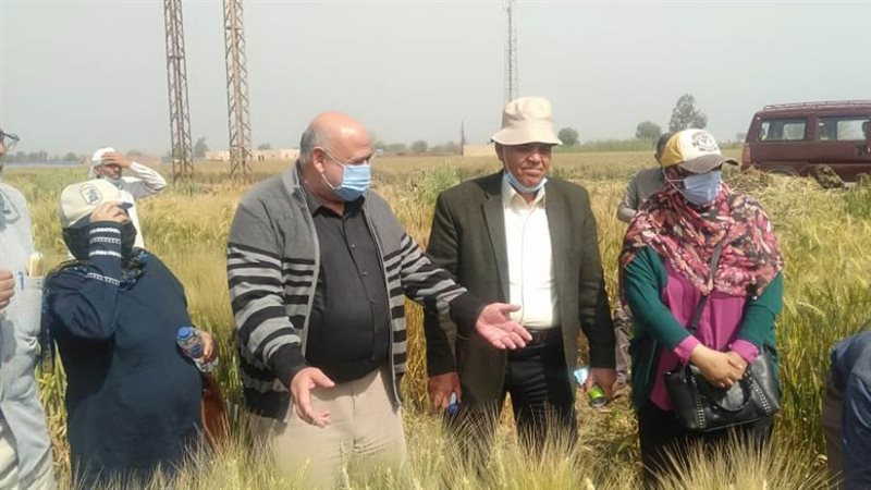 د. أشرف خليل خلال