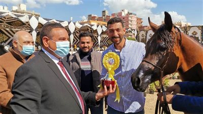 اللواء هشام آمنة يشهد فعاليات اليوم الثاني لمهرجان الخيول العربية الأصيلة بالبحيرة