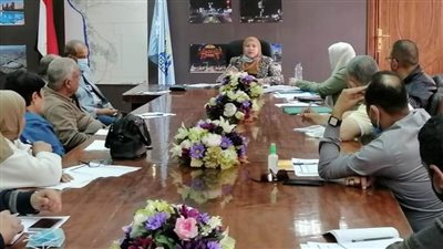 حصر المحلات وأنشطتها بجنوب القاهرة