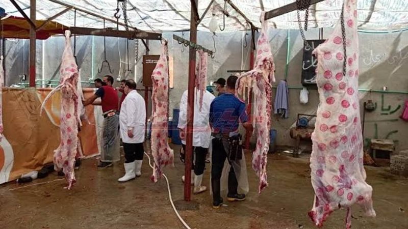 مجزر المنصورة