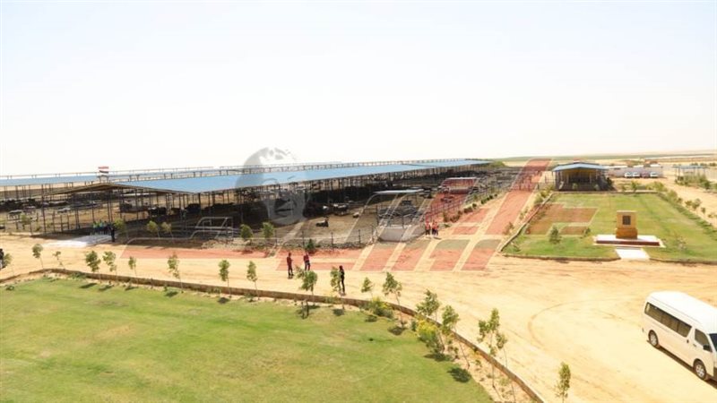 مزرعة غرب غرب المنيا