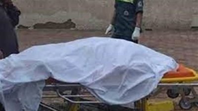 سائق ينهى حياة زميله فى مشاجرة لخلافات على تحميل الركاب بالخانكة