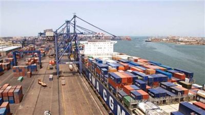 2.7 مليار جنيه ضرائب ورسوم بجمارك «الدخيلة» و«دمياط» 