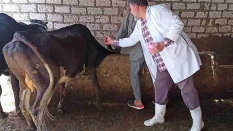 استمرار حملات التطعيم