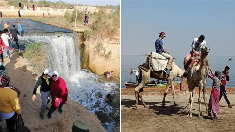 بوابة روز اليوسف