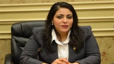 برلمانية: مصر أكبر من ان يفرض عليها خيارات تضر الأمن القومي والمائى