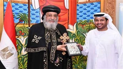 سفيرالإمارات يشارك في وثيقه مكافحة العنف ضد المرأة 