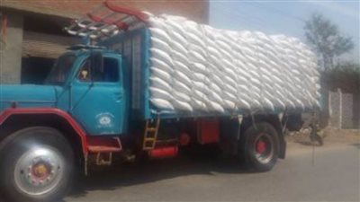 ضبط 35 طن ملح طعام غير صالح للاستهلاك بسوهاج