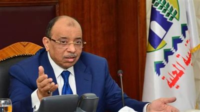 وزير التنمية المحلية : الدولة تقدم دعما كبيرا لتنفيذ منظومة المخلفات الجديدة