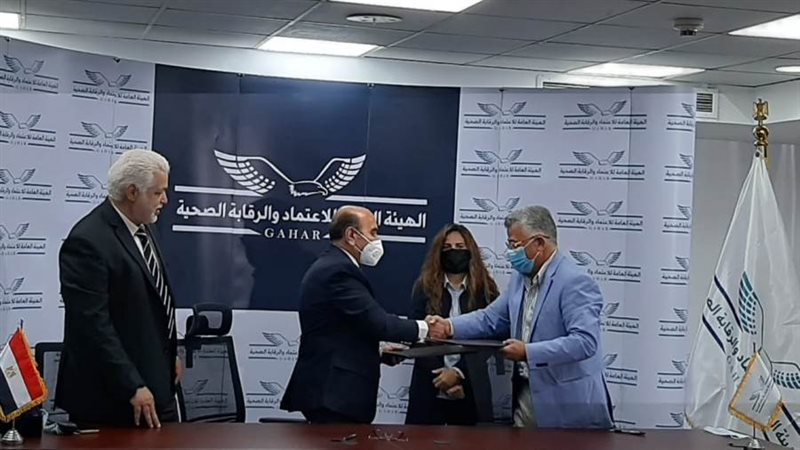 لقاء اسماعيل وعوض