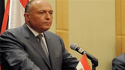 شكري يسلم رسالة من الرئيس السيسي لرئيس جنوب أفريقيا