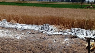 إزالة 3 حالات تعدٍ على الأراضي الزراعية في حملة بالبحيرة