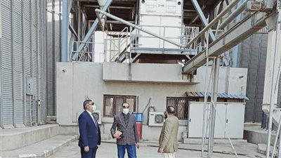 اليوم.. 29 شونة وصومعة تستقبل توريد القمح بمدن ومراكز محافظة البحيرة