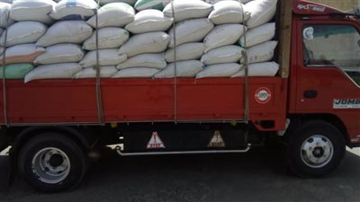 محافظ البحيرة: توريد  1424.5طن قمح للصوامع والشون