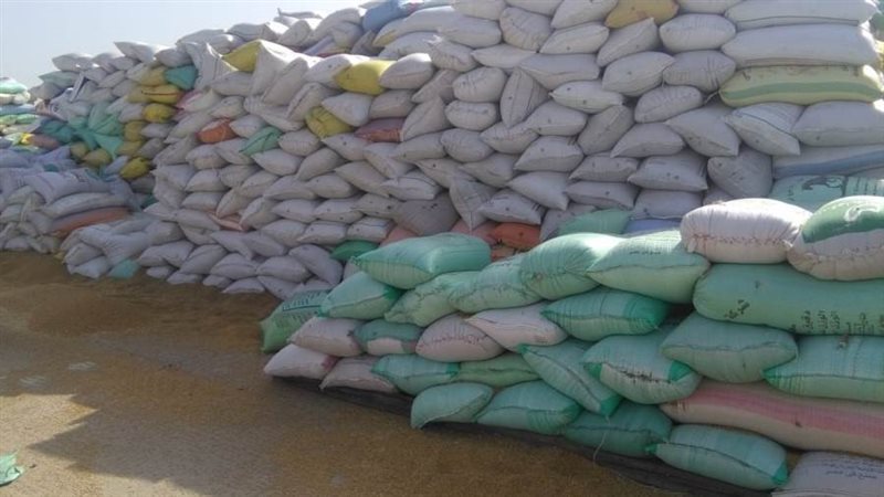 توريد القمح بالبحيرة