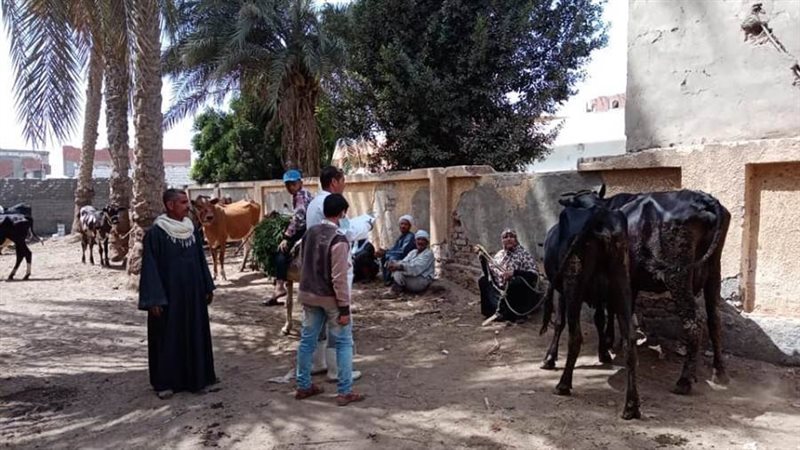 صورة أرشيفة