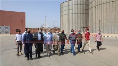 خلال يومين..توريد 6آلاف طن من القمح لصوامع المنوفية