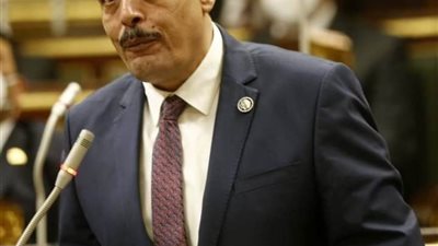  أشرف أمين يشيد بإجراءات الحكومة لعودة العمالة المصرية إلى ليبيا قريبا