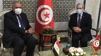 وزير الخارجية يصل إلى تونس حاملا رسالة من الرئيس السيسي