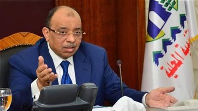 وزير التنمية المحلية: 1136 مشروعا دخلت حيز التنفيذ في 51 مركزا ضمن (حياة كريمة)