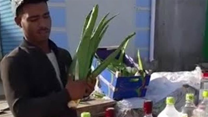 بوابة روز اليوسف