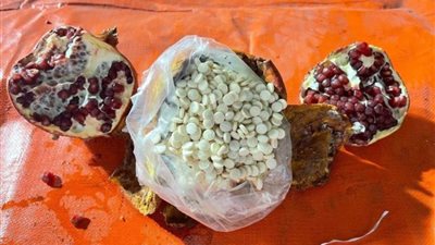 السعودية: 75% من مضبوطات المخدرات القادمة من لبنان منظمة وليست فردية