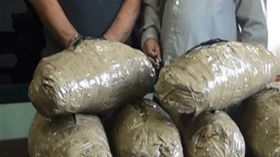القبض على عاطلين وبحوزتهما 3 كيلو بانجو بطوخ