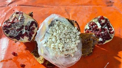 دول خليجية تعلن تأييدها لقرار السعودية الخاص بمكافحة تهريب المخدارت