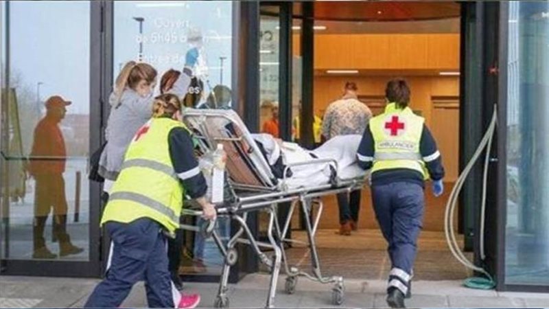 بوابة روز اليوسف