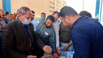 محافظ المنيا: توريد 12500 طن قمح للشون والصوامع